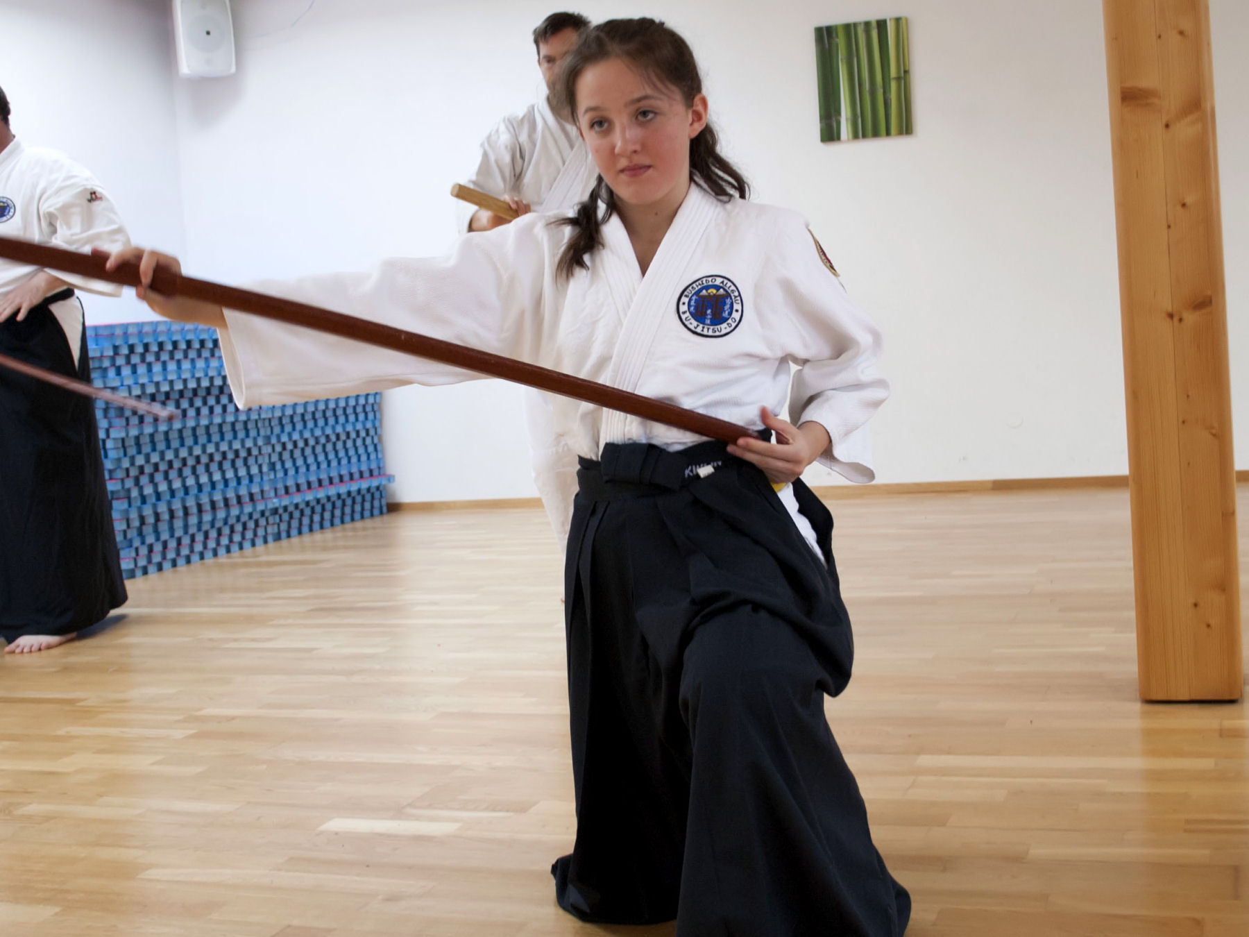 iaido
