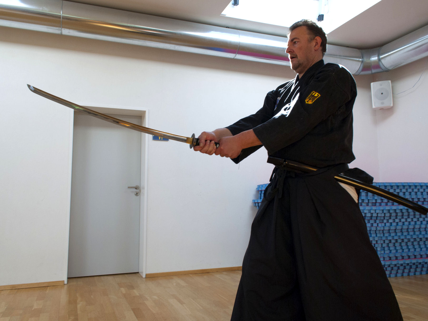 Mugairyu iaido