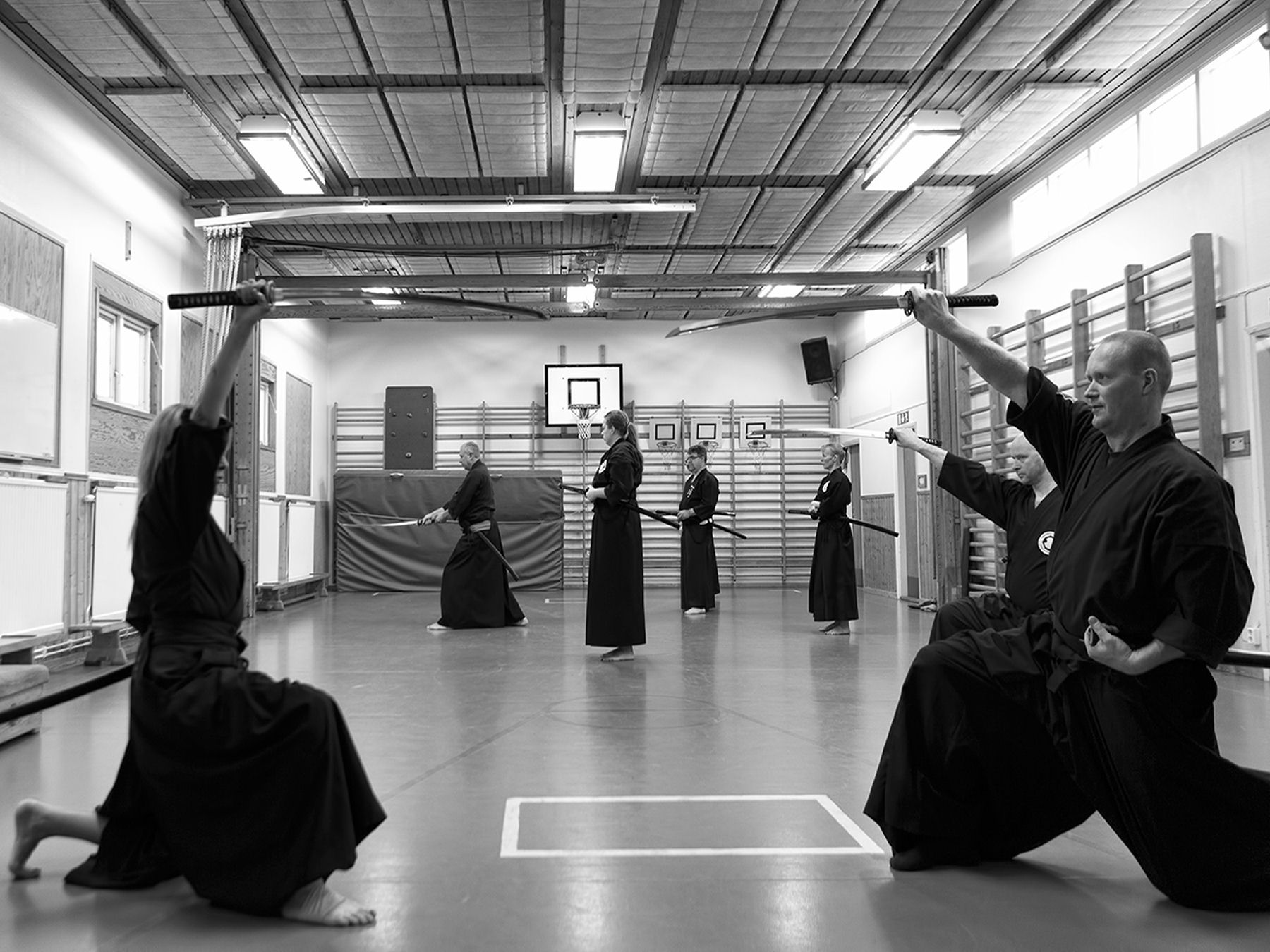 iaido